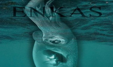 درخشش فیلم کوتاه "انکاس"در جشنواره‌های بین المللی