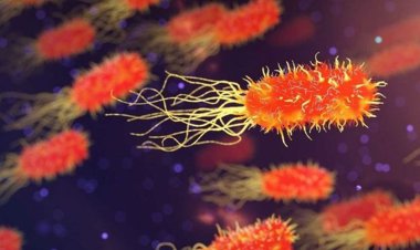 شیوع اسهال ویروسی در کشور؛ آماده باش وزارت بهداشت