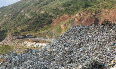 معاون استاندار: مشکلات مرتبط با پسماند در فارس رفع می شود