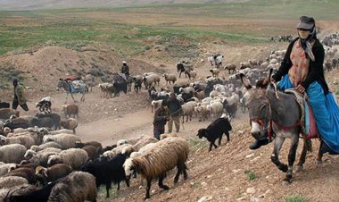 اسکان ۸ هزار خانوار عشایر در فارس