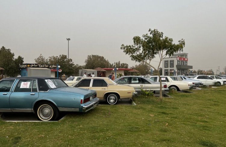برگزاری تور خودروهای تاریخی و سافاری در بوشهر