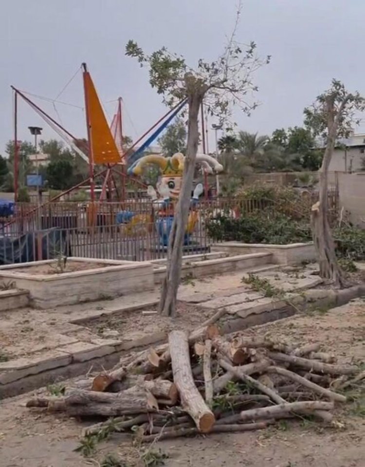 فیلم هرس درختان به سبک شهرداری بوشهر