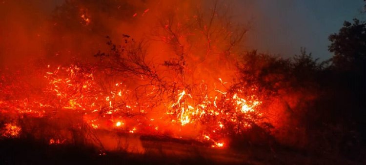 خسارت ۵۰ هکتار از بیشه مهدی‌آباد شوشتر در آتش‌سوزی