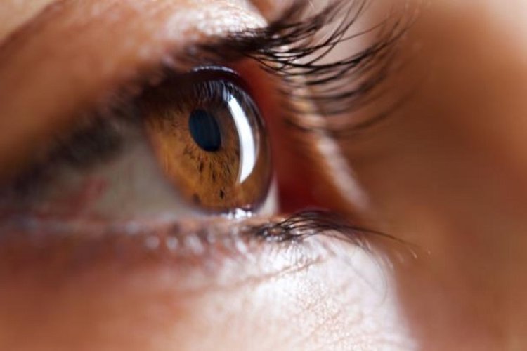 موفقیت دانشمندان در فعال کردن سلول‌های مرده چشم
