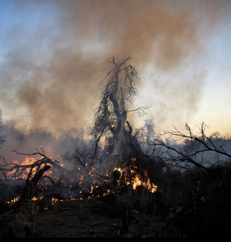 پیش‌بینی افزایش آتش‌سوزی‌های ناشی از خشکسالی در جنگل‌های زاگرسی خوزستان