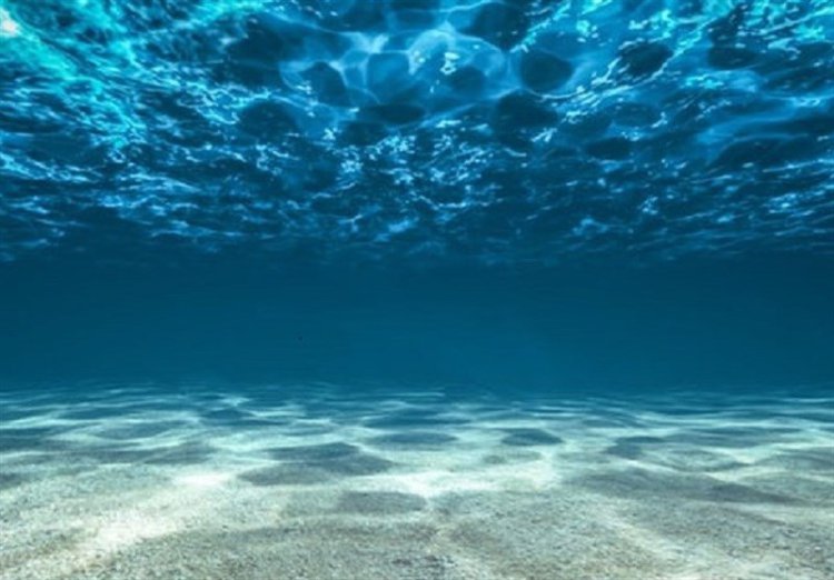 اقیانوس‌ها در سال ۲۰۲۱ داغ‌تر و اسیدی‌تر از همیشه شدند