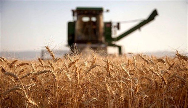 ایران در روسیه گندم تولید می‌کند!