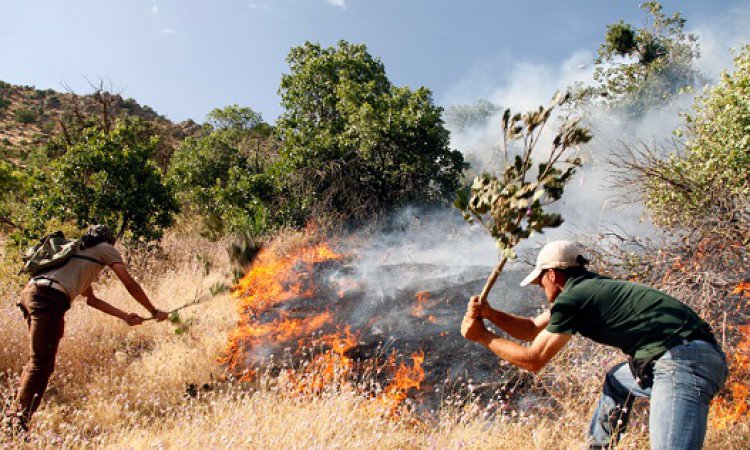 افزایش آتش سوزی جنگلی با شروع فصل گرما در کهگیلویه و بویراحمد