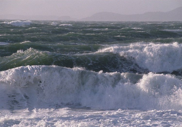 وزش تند باد موجب ممنوعیت تردد شناورها در کیش شد