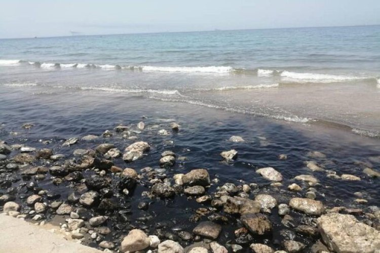 مدیر کل محیط زیست استان بوشهر: منشا آلودگی نفتی ساحل سیراف در حال بررسی است