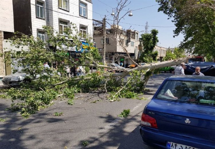 وزش شدید باد در شیراز یک کشته و ۲ زخمی برجای گذاشت