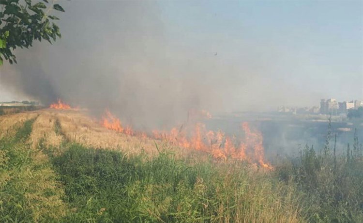 آتش‌سوزی نیزارهای آبراه اروند خرمشهر مهار شد