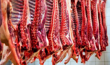 قیمت جدید گوشت گوسفند اعلام شد