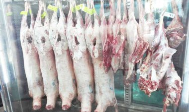 ویروس تب کریمه کنگو چگونه از بین می‌رود؟