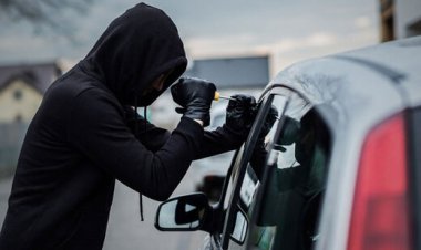 فیلم سرقت وحشیانه