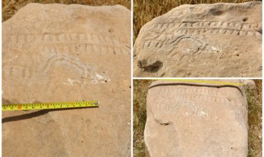 کشف کتیبه پیش از تاریخ ” عصر مفرغ ” در کازرون