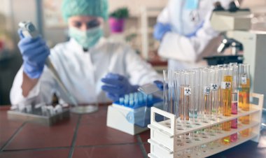 "گریمسو" گونه جدید ویروس کرونا