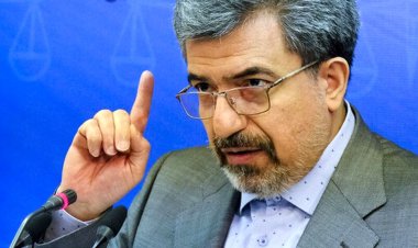 چرا بقایی خارج از زندان است؟