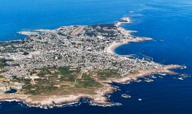 سفر دبیرکل مناطق آزاد سوریه به کیش