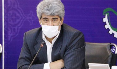 معاون استاندار خوزستان: نخل‌های آبادان و خرمشهر آباد می‌شود