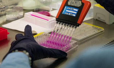 کشف غیرمنتظره برای درمان بیماری مرموز و کشنده