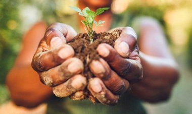 منویی از غذاهای ناشناخته سال ۲۰۵۰