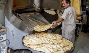 طرح فروش کیلویی نان  جدی شد
