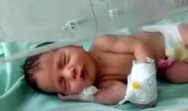 نوزاد رها شده  در اطراف باغات گراش پیدا شد