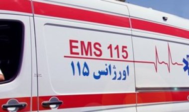 کودک ۵ ساله اقلیدی جان مادرش را نجات داد