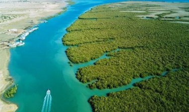 «بندر خمیر» عنوان جهانی شهر تالابی را به دست آورد