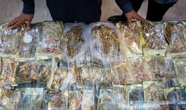 جزئیات جدید از محتوی صندوق‌های سرقتی بانک ملی/ارزش یک صندوق ۲۰۰ میلیارد تومان بوده است