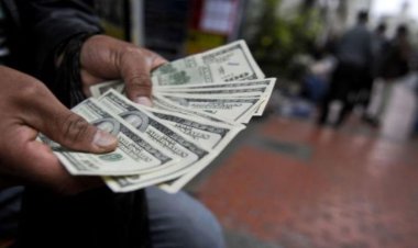 ۳۱ نفر از سرشاخه‌های معاملات فردایی ارز و طلا دستگیر شدند