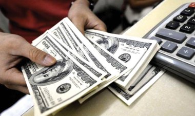 تصمیم جدید بانک مرکزی برای کنترل بازار ارز