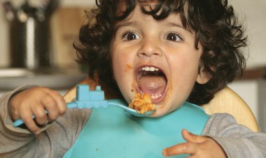 چگونه غذایتان را دوست داشته باشید و از آن لذت ببرید