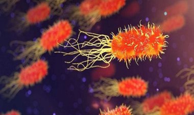 افزایش ابتلا به اسهال ویروسی در کشور