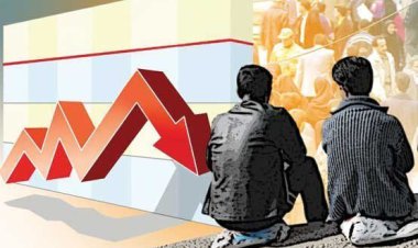 واقعا بیکاران بوشهر کمتر شد؟