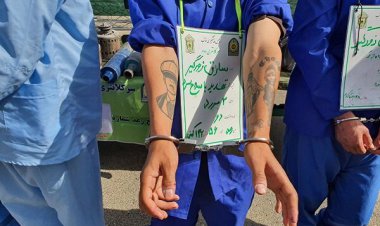 از زورگیری که پسر رئیس بانک است تا توقیف آلفارومئو و پورشه