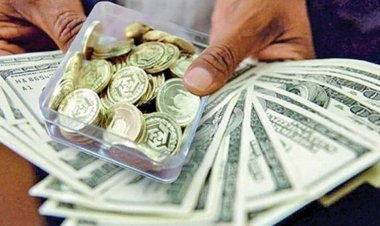 انجام کدام معاملات در بازار طلا، سکه و ارز ممنوع شد؟