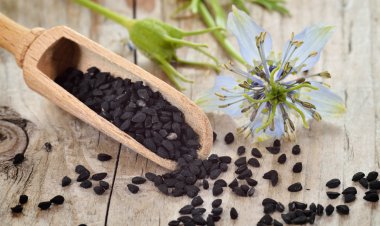 خواص بی‌نظیر این دانه‌های سیاه‌رنگ!