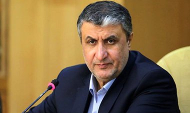 دولت تصمیم دارد یارانه را به جای واردکننده به خود مردم بدهد