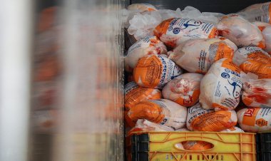 مرغ  نیمایی وارد بازار شد