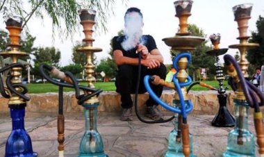 دود شدن روزانه ۲۷ هزار درخت زیر کباب و سر قلیان!