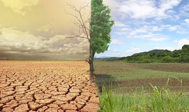 فارس روی مدار بیابان زایی