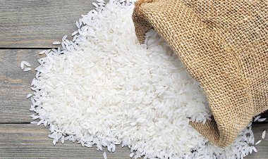قیمت جدید برنج اعلام شد/ جزئیات برنج‌های وارداتی جدید