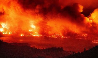 ببینید| ادامه آتش سوزی گسترده جنگل های استان ناوار اسپانیا