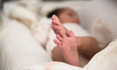 آخرین خبر از وضعیت نوزاد رها شده در سطل زباله