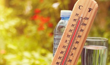 چطور بفهمیم آب بدنمان کم شده است؟