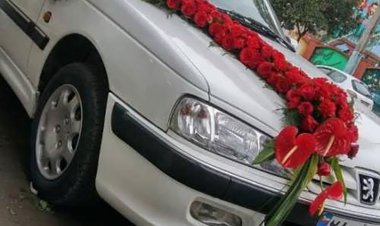 فیلم| اهدای 63 پژوپارس به زوجین توسط خیر خوزستانی