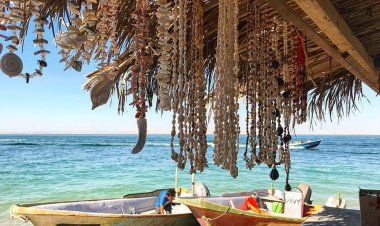 یارانه برای کسانی که با قایق و کشتی در حوزه گردشگری فعالیت می‌کنند