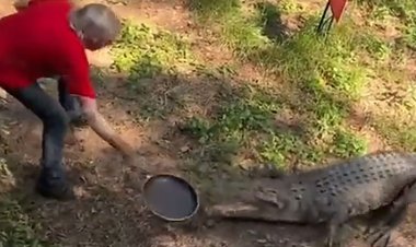 ببینید این پیرزن چطور با ماهیتابه  خدمت تمساح رسید!